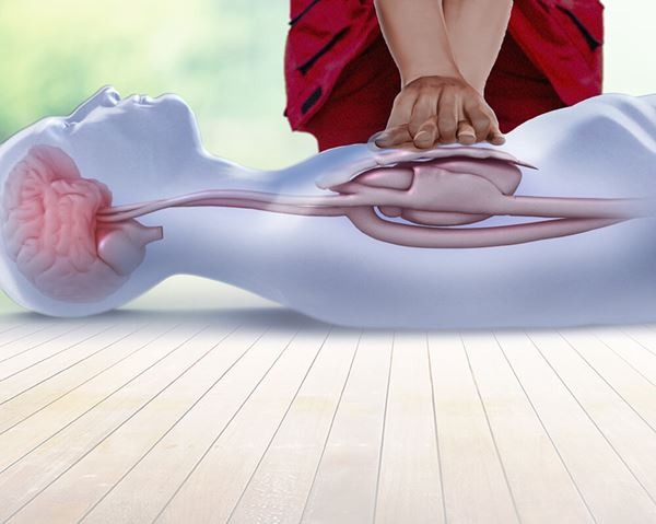 Basic CPR Certification